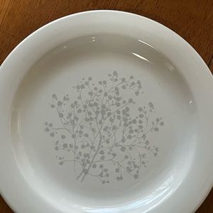 2 pfaltzgraff  plates